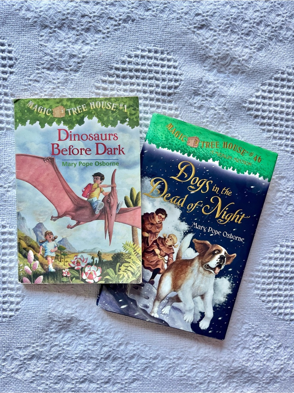 🍀 #1 Magic Tree House Book “Dinosaurs Before Dark” + Bonus Hardcover Book #46